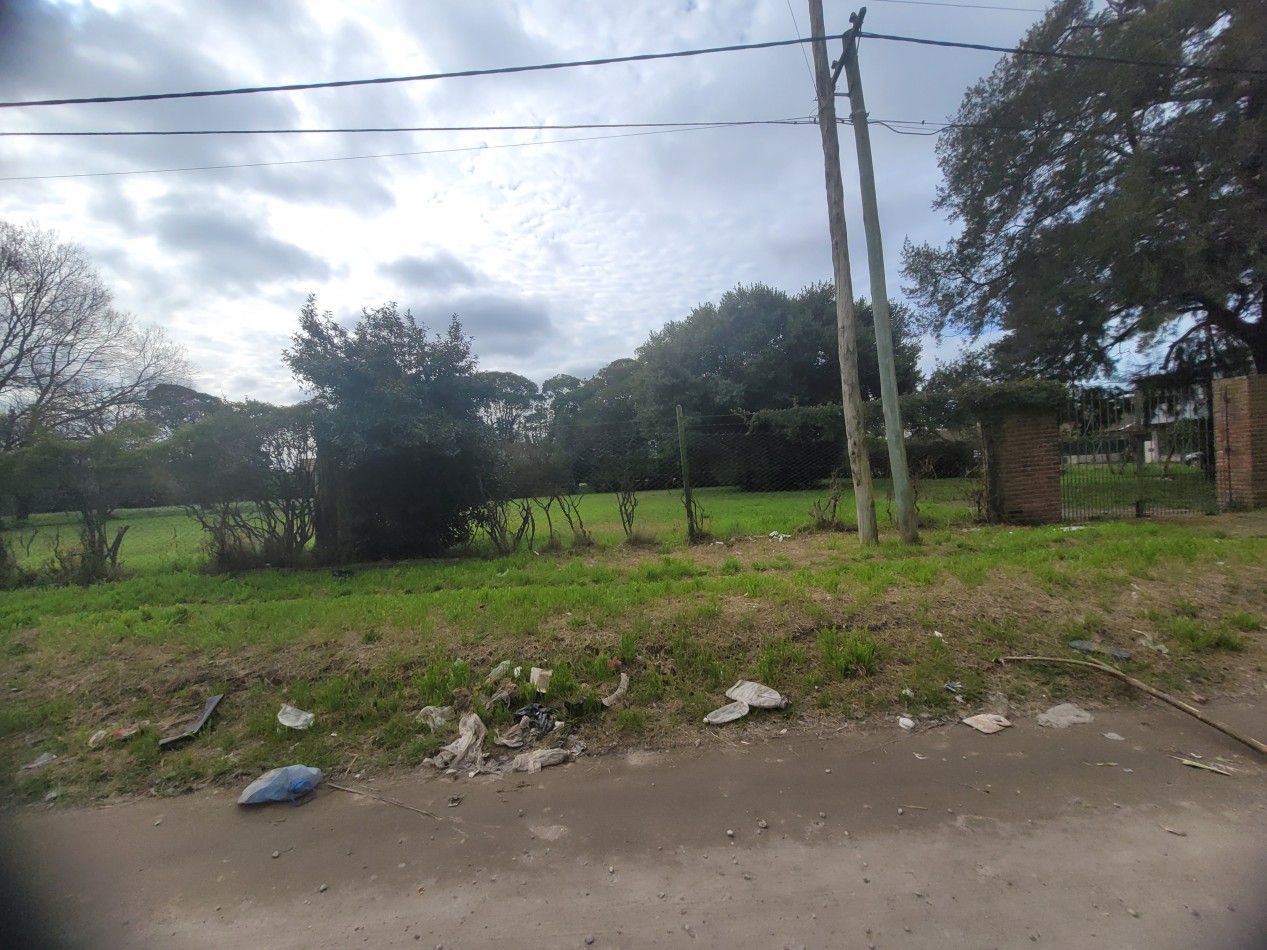 Venta  Manzana completa