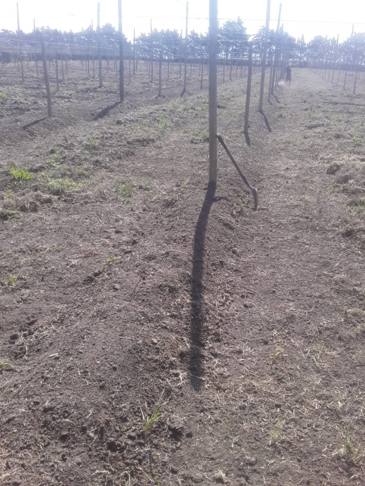 Venta  10  Hectareas 