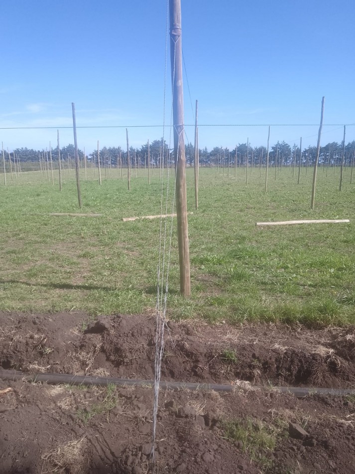 Venta  10  Hectareas 