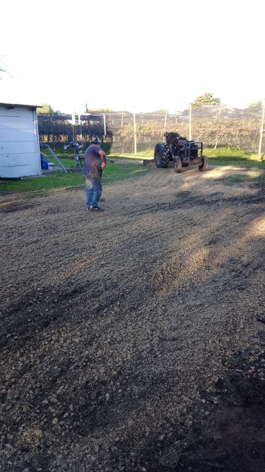 Venta  10  Hectareas 