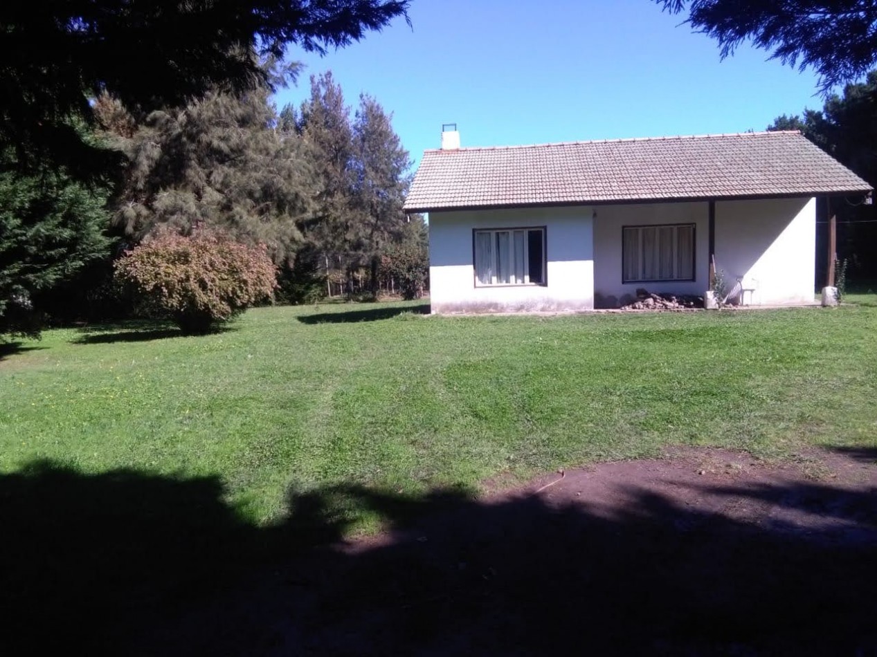 Venta  10  Hectareas 