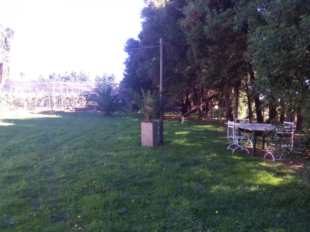 Venta  10  Hectareas 