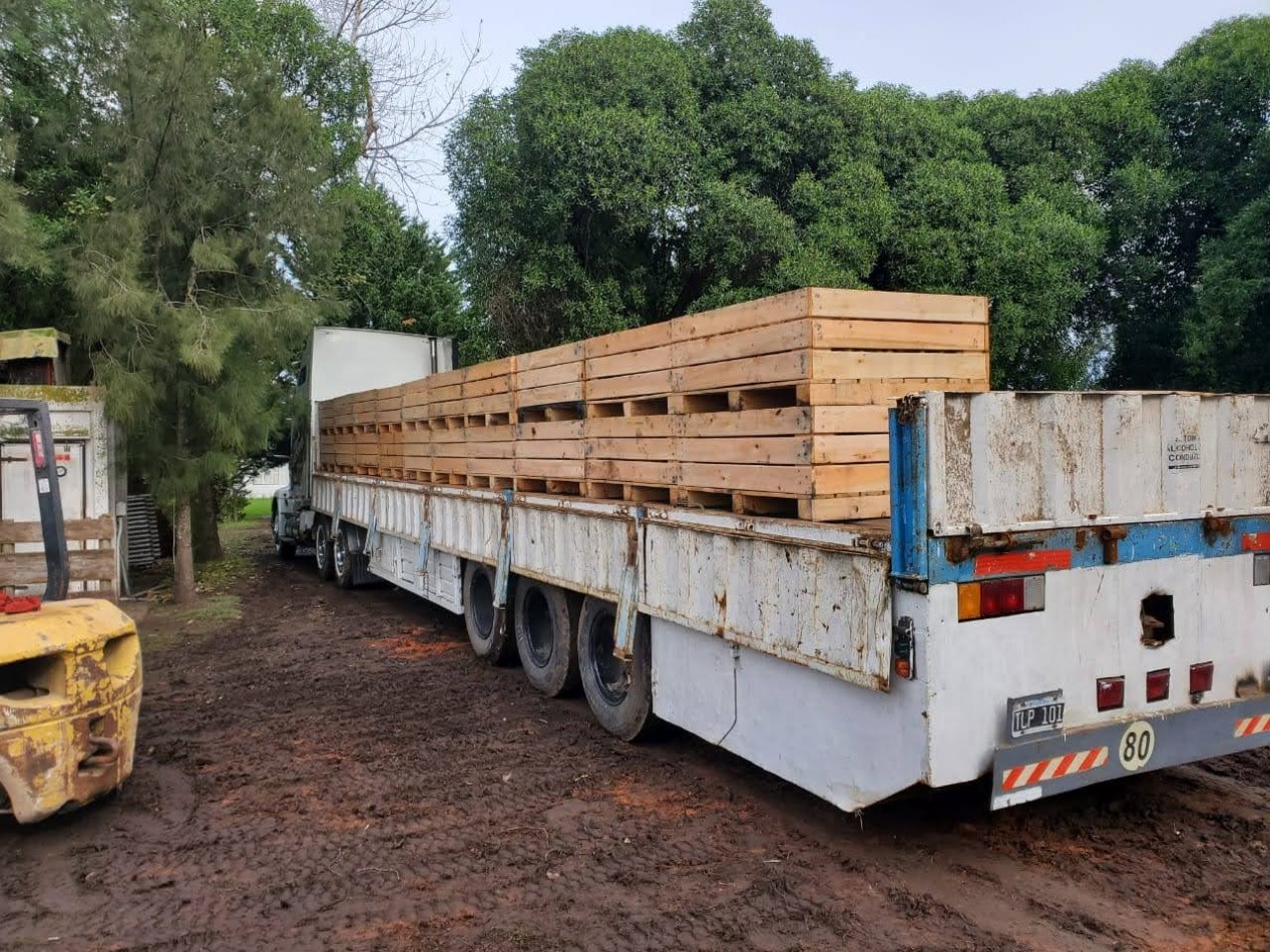 Venta  10  Hectareas 