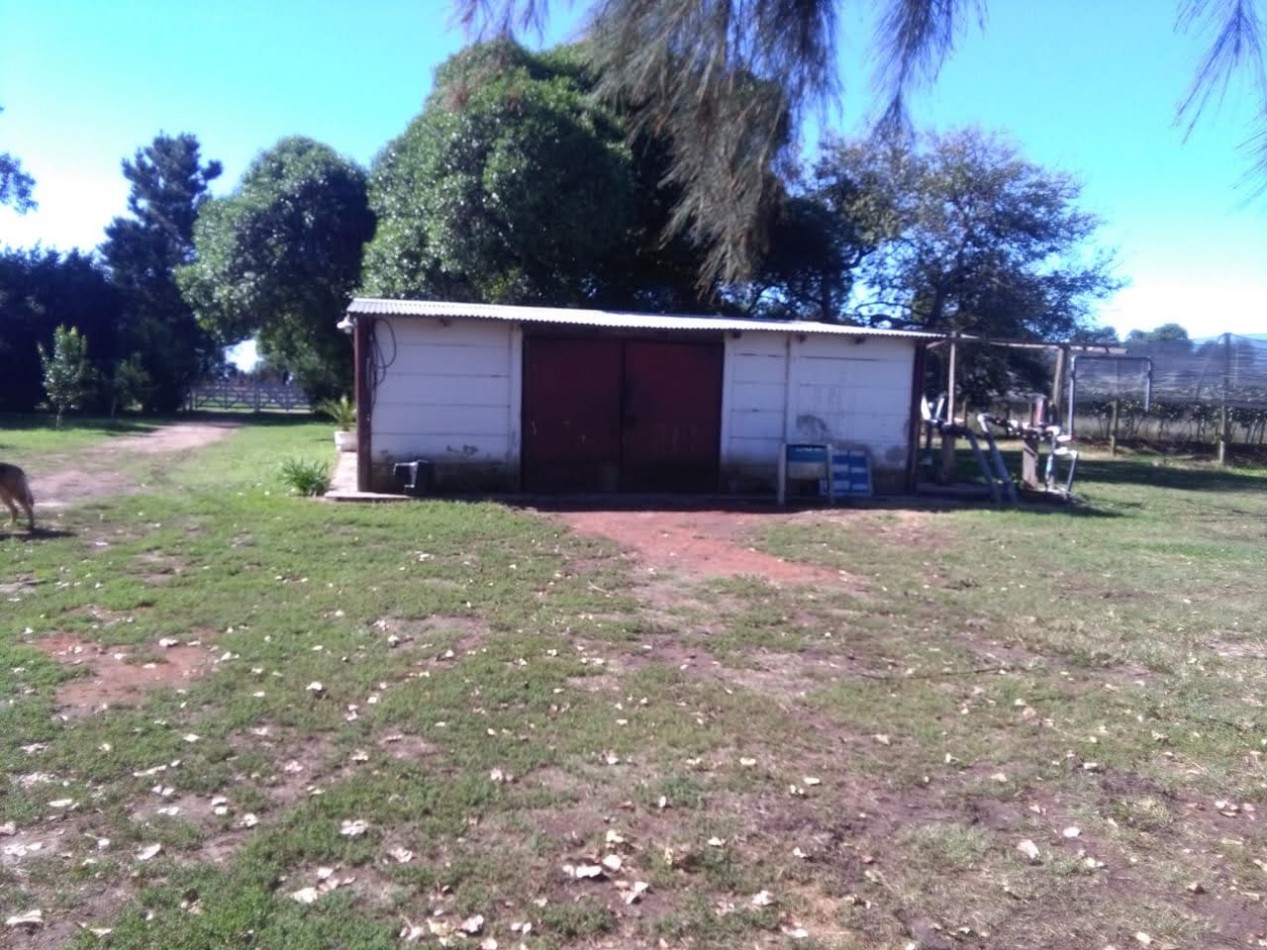Venta  10  Hectareas 