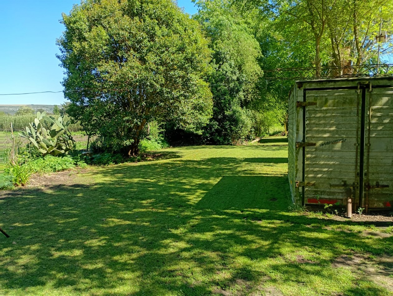 Venta Campo Paraje San Carlos  