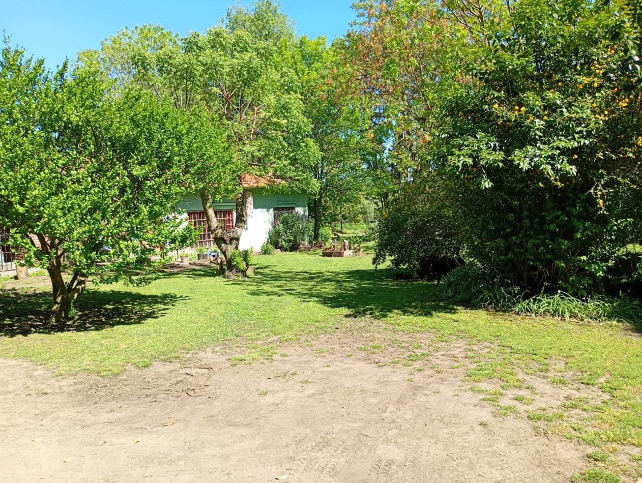 Venta Campo Paraje San Carlos  