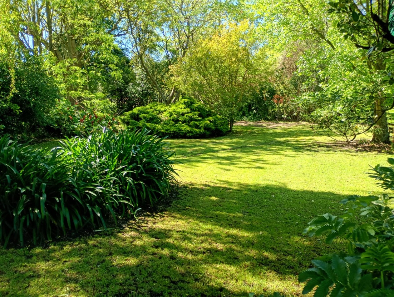 Venta Campo Paraje San Carlos  
