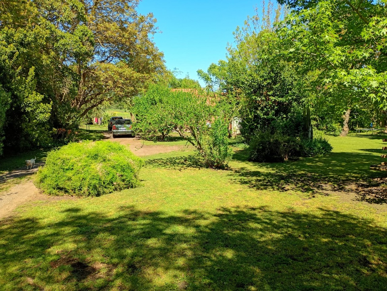 Venta Campo Paraje San Carlos  