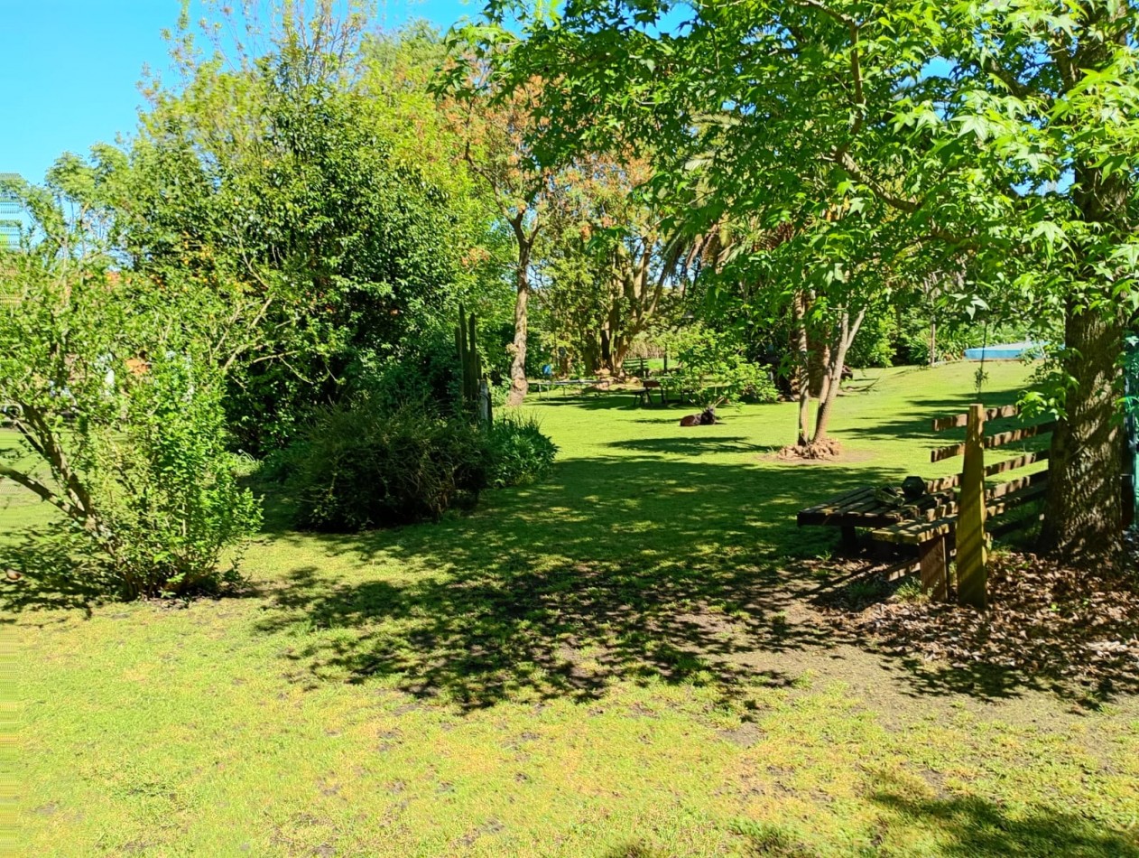 Venta Campo Paraje San Carlos  