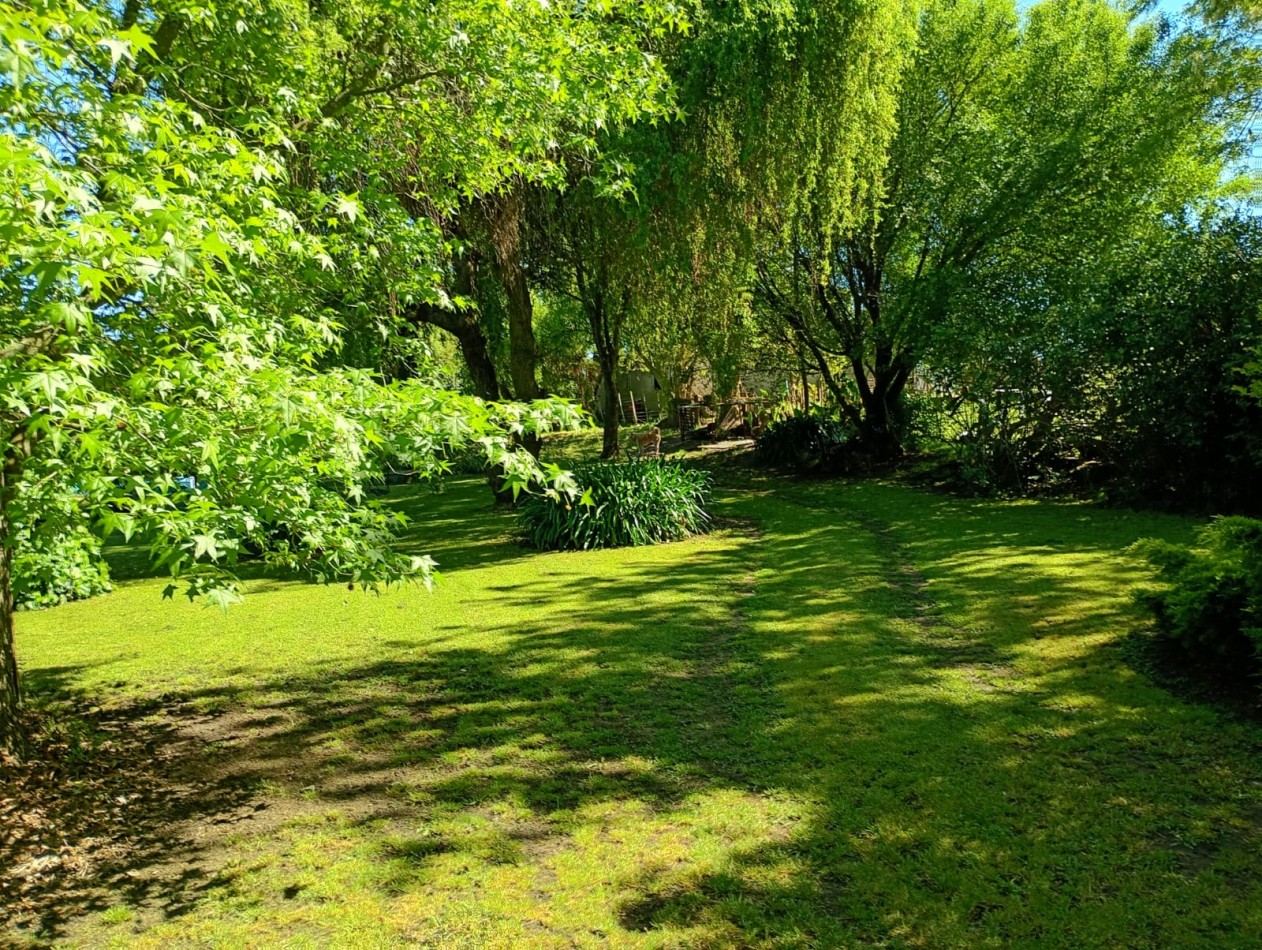 Venta Campo Paraje San Carlos  