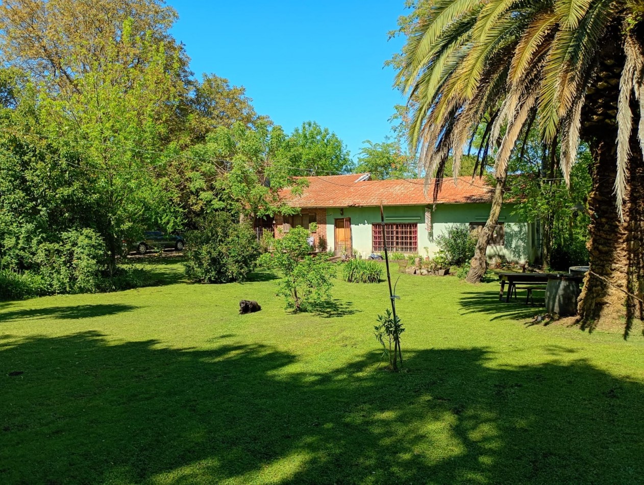 Venta Campo Paraje San Carlos  