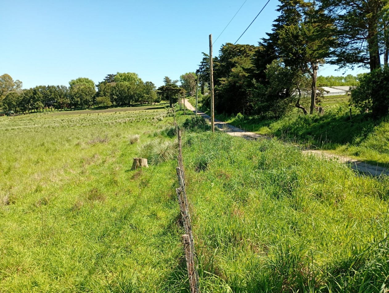 Venta  Campo  Paraje San Carlos 