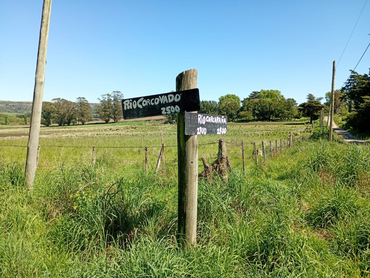 Venta  Campo  Paraje San Carlos 