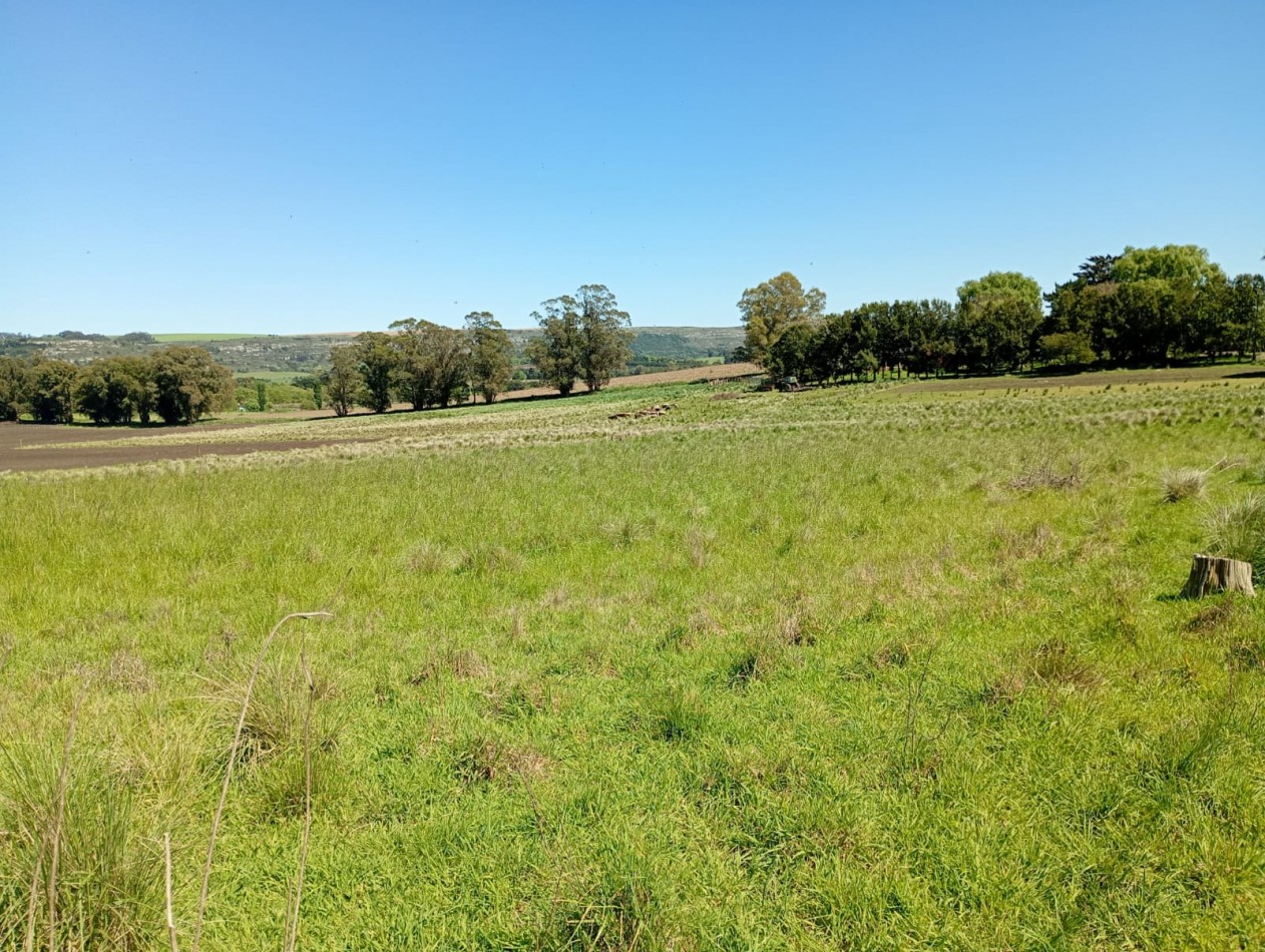 Venta  Campo  Paraje San Carlos 
