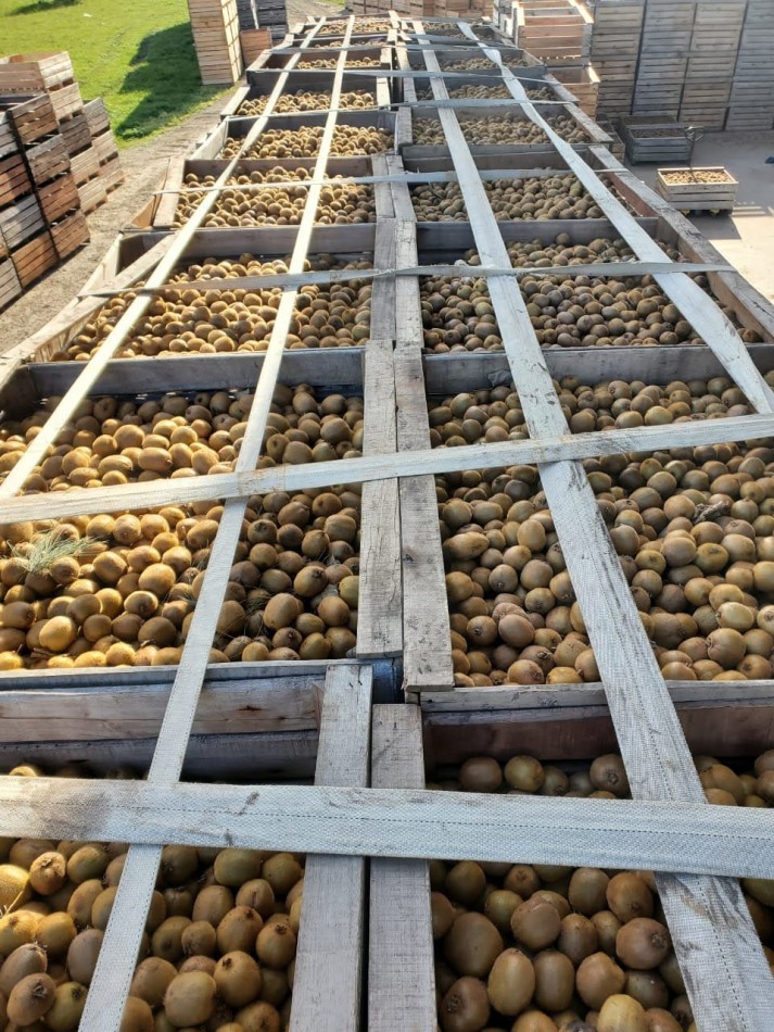  Hectareas 10 venta Mar del Plata 