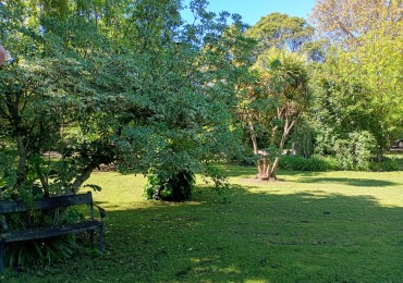 Venta Campo Paraje San Carlos  