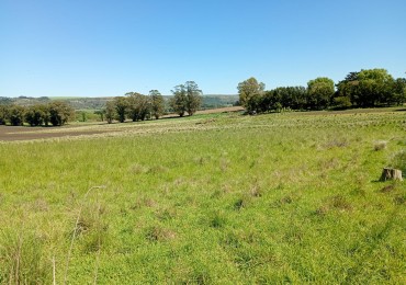 Venta  Campo  Paraje San Carlos 