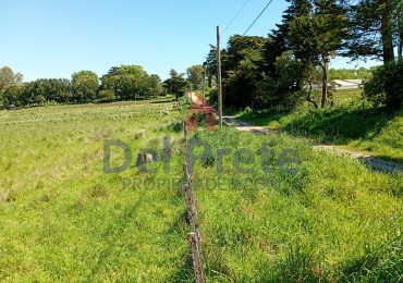Campo 10 hectareas venta  Paraje San Carlos Mar del Plata Buenos Aires