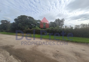 Terreno 7500 m2 venta Arturo Allio , Necochea Ituzaingo Mar del Plata