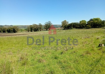   Campo  10 hectareas  Paraje San Carlos Mar del  Plata Buenos Aires